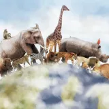 [KVIZ] S kojih kontinenata dolaze ove životinje?