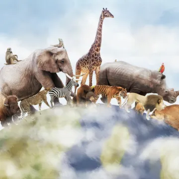 [KVIZ] S kojih kontinenata dolaze ove životinje?