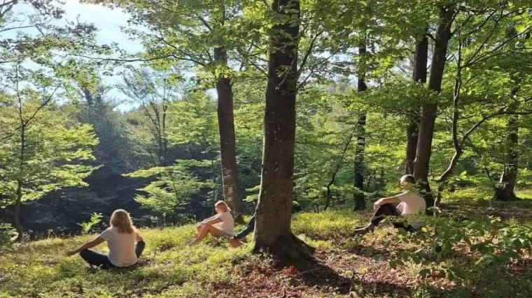 Lijek je u &scaron;umi? U Hrvatskoj mjerili učinak nesvakida&scaron;nje terapije &ndash; rezultati iznenadili!