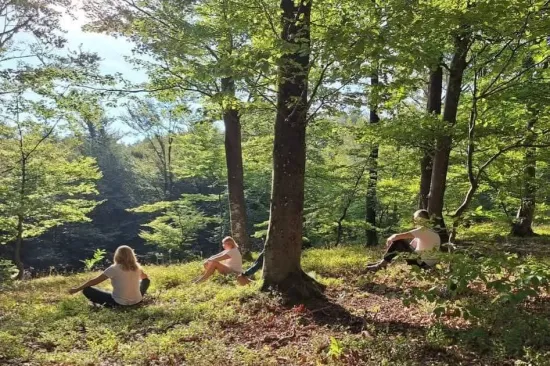Lijek je u &scaron;umi? U Hrvatskoj mjerili učinak nesvakida&scaron;nje terapije &ndash; rezultati iznenadili!