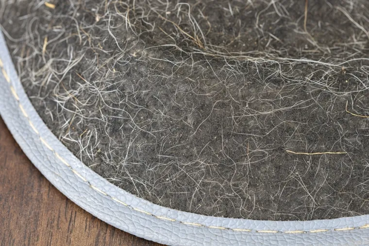 Za&scaron;titite posteljinu od pseće dlake: Jednostavan i brz potez koji možete napraviti svako jutro