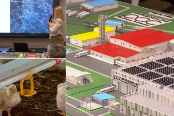 Farma pilića u Sisku nije u prostornom planu, investitor: 'Imate samo idejno rje&scaron;enje'