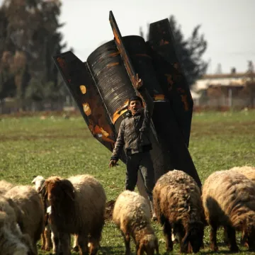 Div s istoka ostavio Iran na cjedilu, stručnjaci upozoravaju: 'Suočavaju se s kaljužom'