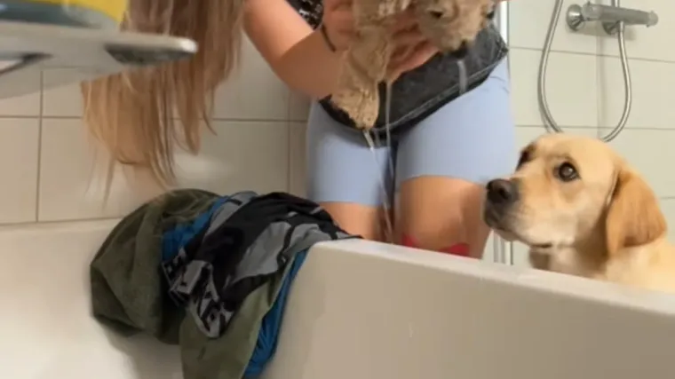 Najboljeg prijatelja nije pu&scaron;tala s vidika ni sekunde