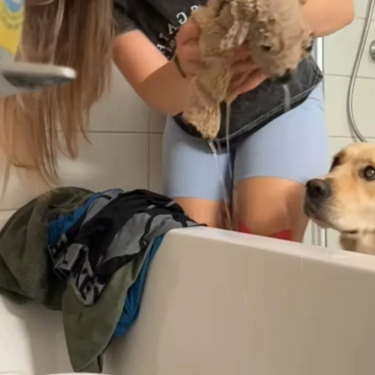 Najboljeg prijatelja nije pu&scaron;tala s vidika ni sekunde