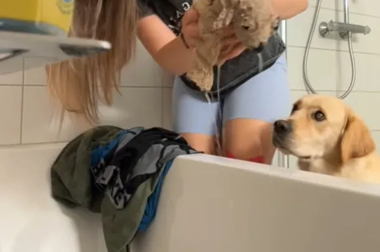 Najboljeg prijatelja nije pu&scaron;tala s vidika ni sekunde