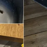 Najezda žohara u poznatom lancu burgera u Zagrebu, imamo snimke! 'Riječ je o &scaron;irem problemu'