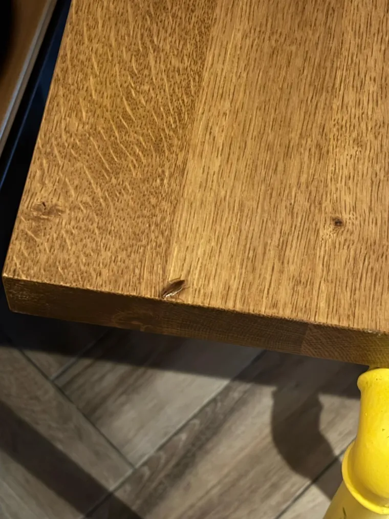 Najezda žohara u poznatom lancu burgera u Zagrebu, imamo snimke! 'Riječ je o &scaron;irem problemu'