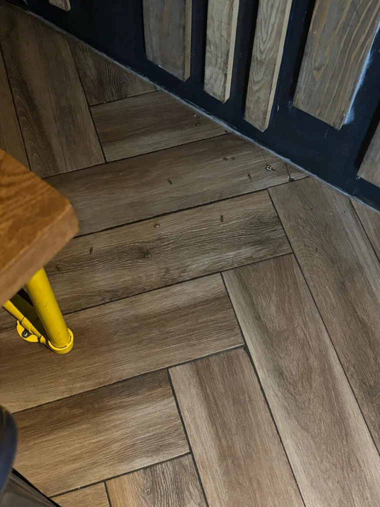 Najezda žohara u poznatom lancu burgera u Zagrebu, imamo snimke! 'Riječ je o &scaron;irem problemu'