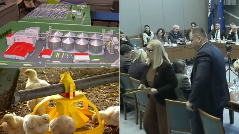 Projekt megafarme u Sisku obustavljen, investitori napustili sjednicu: 'Ne možemo reći istinu'
