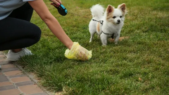 Koliku kaznu naplatiti onima koji ne počiste za svojim psom? 'Vjerujte, brzo bi napunili proračun'