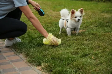 Koliku kaznu naplatiti onima koji ne počiste za svojim psom? 'Vjerujte, brzo bi napunili proračun'
