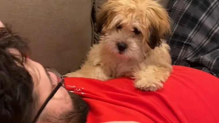 Kada ne prihvaća&scaron; ne kao odgovor