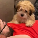 Kada ne prihvaća&scaron; ne kao odgovor