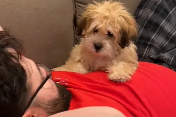 Kada ne prihvaća&scaron; ne kao odgovor