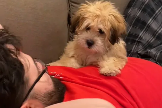 Kada ne prihvaća&scaron; ne kao odgovor