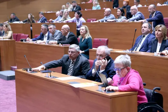 Sabor na rubu eskalacije, pogledajte snimku žestoke svađe: 'Pozovite osiguranje!'