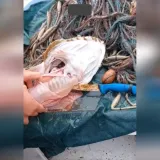 Ribari u grdobini prona&scaron;li plastičnu bocu! Stručnjak: 'Plastika je već dio na&scaron;e prehrane'