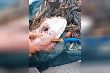 Ribari u grdobini prona&scaron;li plastičnu bocu! Stručnjak: 'Plastika je već dio na&scaron;e prehrane'