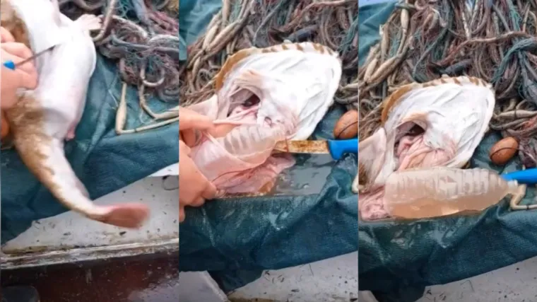 Boca pronađena u grdobini otvorila važno pitanje za Hrvate: 'Tragedija...'