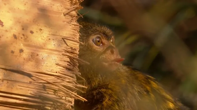 Posjetili smo Rikarda i Klemensa, nove članove zagrebačkog Zoolo&scaron;kog: 'Preslatki, za poludit!'