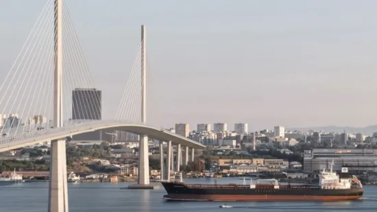 Arhitekti čije je rje&scaron;enje izabrano za Ka&scaron;telanski most: 'Bit će jedan od najljep&scaron;ih u Europi'