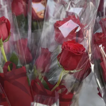 Milanović, Plenković i Jandroković čestitali Međunarodni dan žena