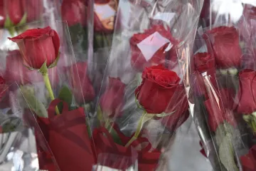 Milanović, Plenković i Jandroković čestitali Međunarodni dan žena