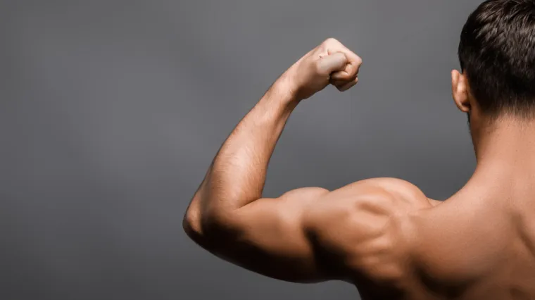 [KVIZ] Rijetki će imati sve točno na pitanjima o mi&scaron;ićima ljudskog tijela