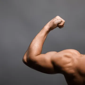 [KVIZ] Rijetki će imati sve točno na pitanjima o mi&scaron;ićima ljudskog tijela