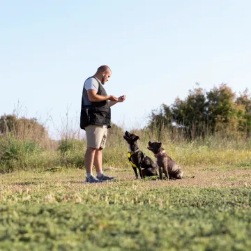 Trener pasa o tri pasmine koje je najteže dresirati: 'Nikada ne bih imao jednog takvog psa'