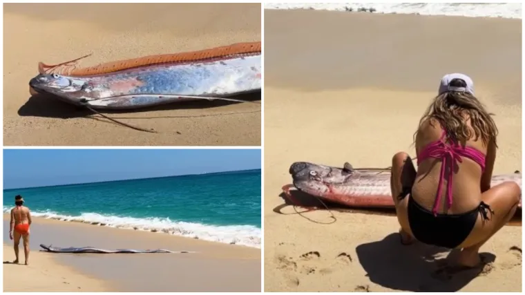 Dvije ribe koje najavljuju globalne katastrofe nasukale se na obalu poznatog ljetovali&scaron;ta