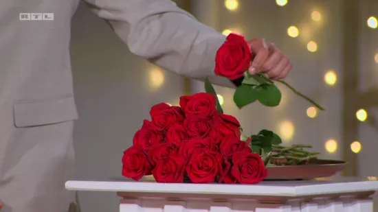 Kandidatkinja koja je ostala bez ruže: 'Moj gospodin savr&scaron;eni nije ovdje'