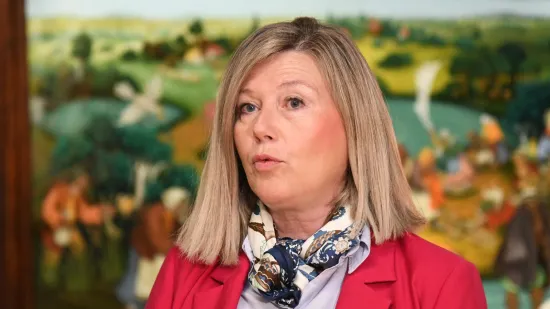 Jak&scaron;ićeva zamjenica sjela za volan nakon ča&scaron;ice vi&scaron;e i Čolićeva koncerta: HDZ traži ostavku