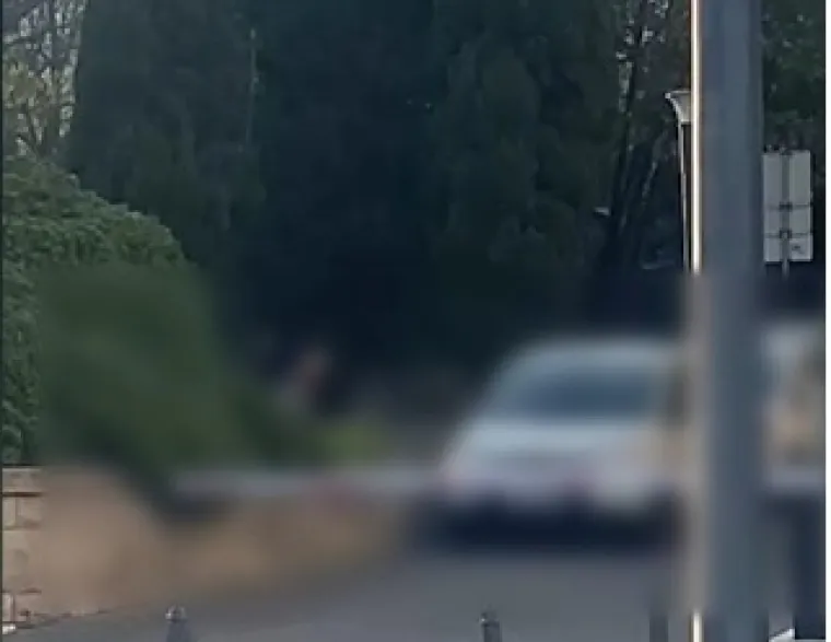 Odvratna snimka iz Splita, obavio veliku nuždu usred bijela dana: 'Je li ovo moguće?'