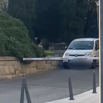 Odvratna snimka iz Splita, obavio veliku nuždu usred bijela dana: 'Je li ovo moguće?'