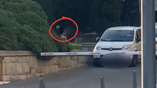 Odvratna snimka iz Splita, obavio veliku nuždu usred bijela dana: 'Je li ovo moguće?'