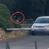 Odvratna snimka iz Splita, obavio veliku nuždu usred bijela dana: 'Je li ovo moguće?'