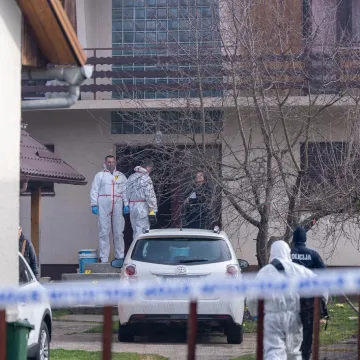 Susjeda otkrila jezive detalje ubojstva u Gospiću: 'Njegova mama nam je kucala na prozor...'