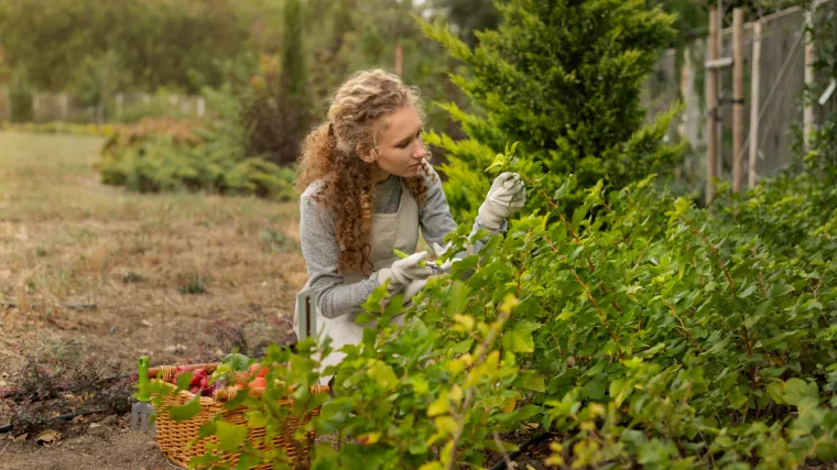 Vrtlarica objasnila kako cvijeće i nasade za&scaron;titi od ptica: 'Možda zvuči neobično'