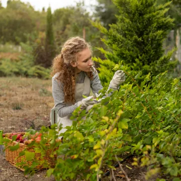 Vrtlarica objasnila kako cvijeće i nasade za&scaron;titi od ptica: 'Možda zvuči neobično'