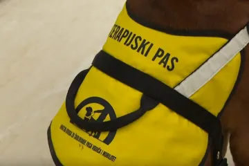 Freya je nova djelatnica u bolnici za djecu i mladež, a nedavno je položila važan ispit