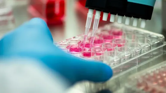 Testovi krvi koji vide rak prije simptoma: Velika su prekretnica, ali ima jedna kvaka