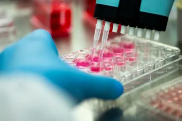 Testovi krvi koji vide rak prije simptoma: Velika su prekretnica, ali ima jedna kvaka