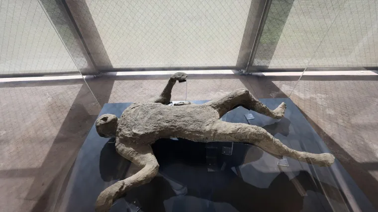 Posljednji trenuci: Jedinstvena izložba nudi tragičan pogled na ljudsku patnju