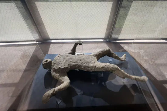 Posljednji trenuci: Jedinstvena izložba nudi tragičan pogled na ljudsku patnju