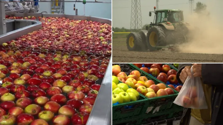 Novi udar na džepove: Cijena gnojiva i duplo veća, hoće li se sve preliti na kupce?