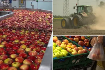 Novi udar na džepove: Cijena gnojiva i duplo veća, hoće li se sve preliti na kupce?