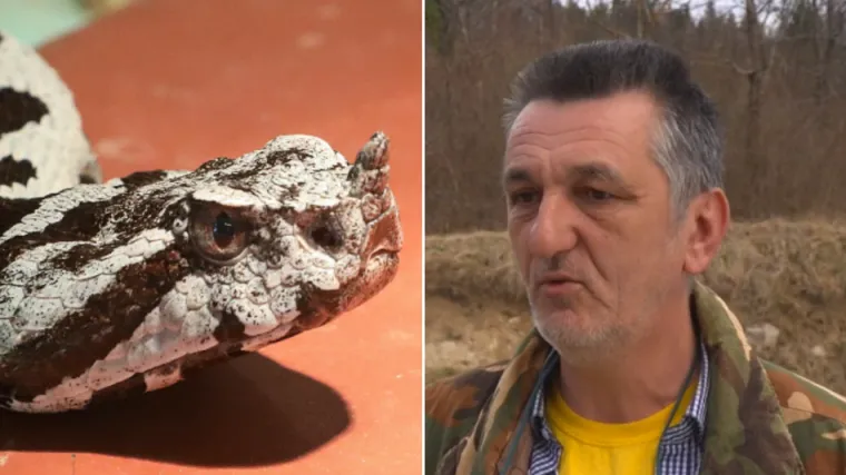 Gorski kotar ima &scaron;aptača poskocima: 'Jednog pratim već 18 godina, nikada ne bježi od mene!'