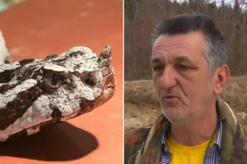 Gorski kotar ima &scaron;aptača poskocima: 'Jednog pratim već 18 godina, nikada ne bježi od mene!'